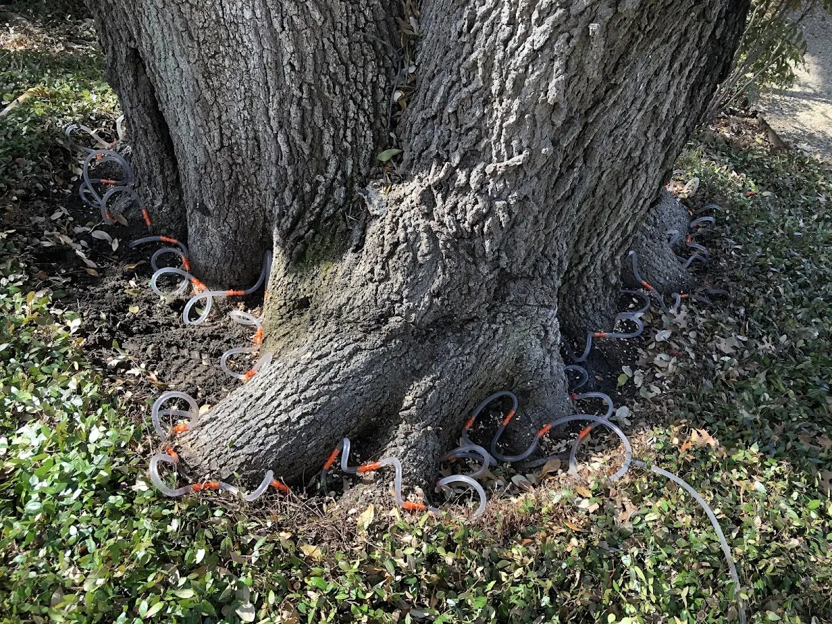 Detailed Shrub and Hedge Trimming job site in Aztec